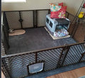Dog house