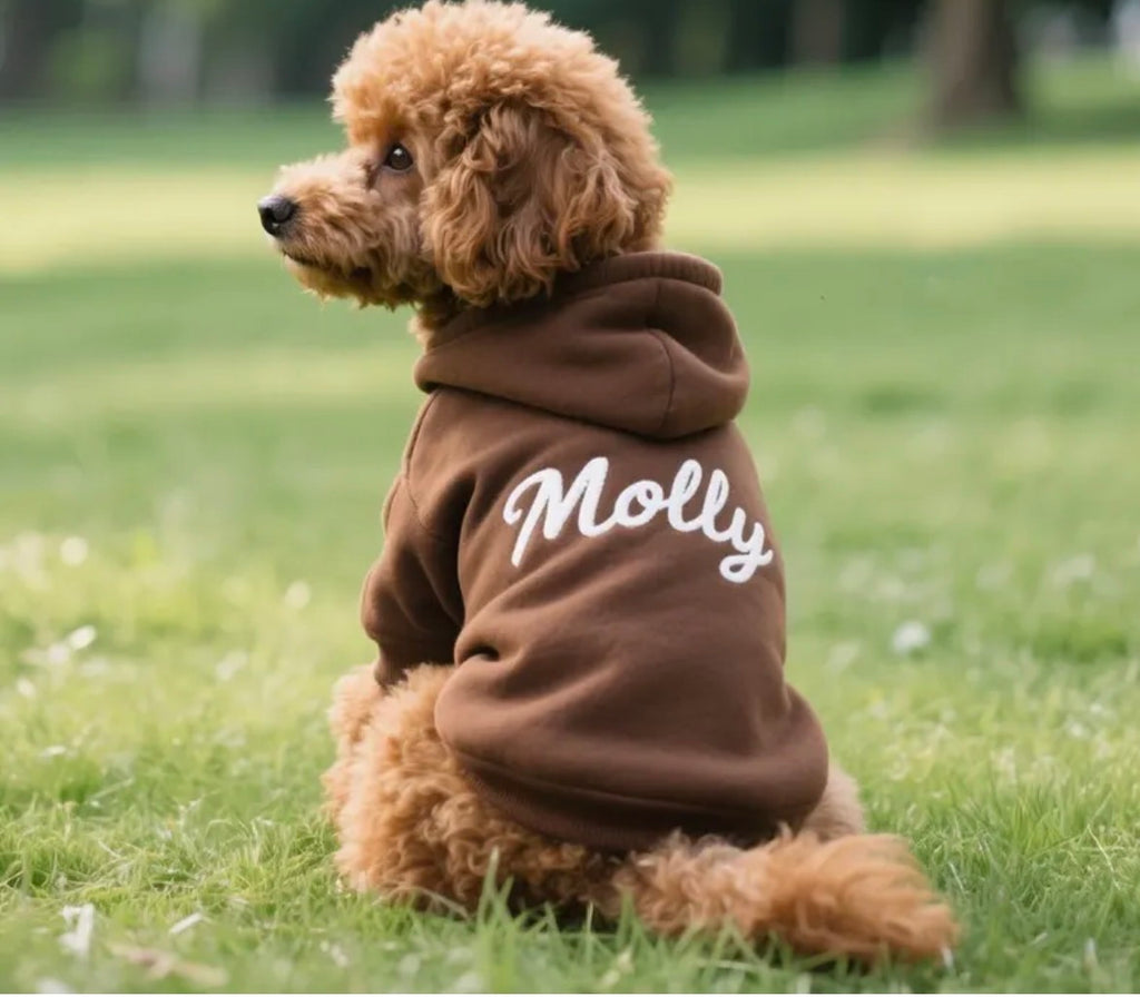Custom named dog hoodies