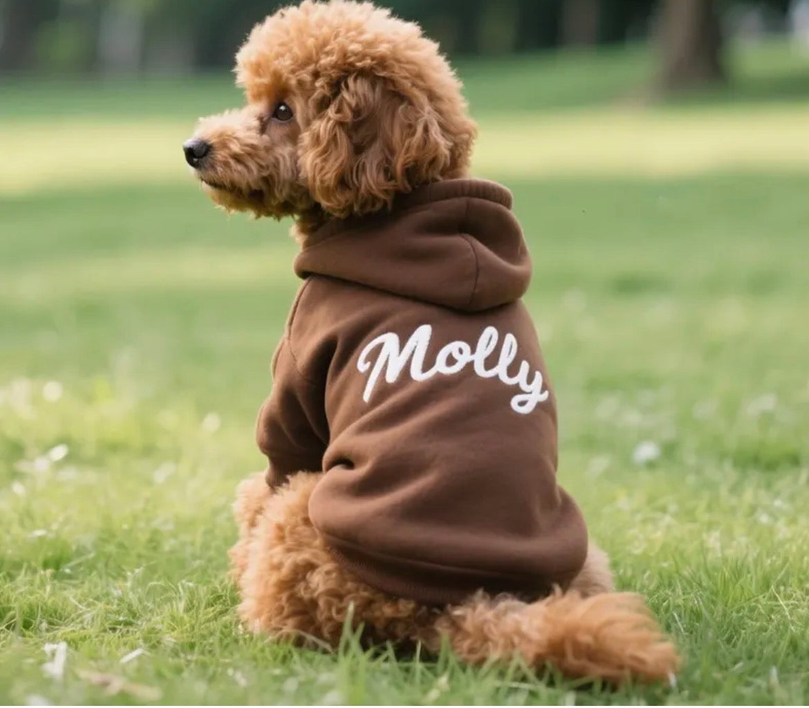 Custom named dog hoodies