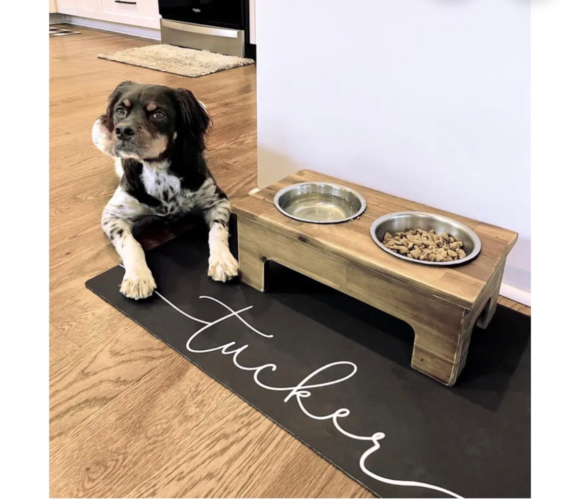 Dog food table (water&food)