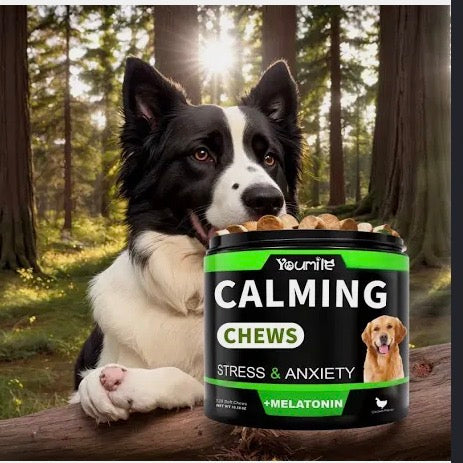 Stress and anxiety supplement for dogs