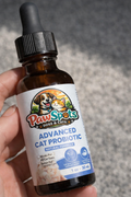 Cat probiotics